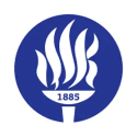 Işık University
