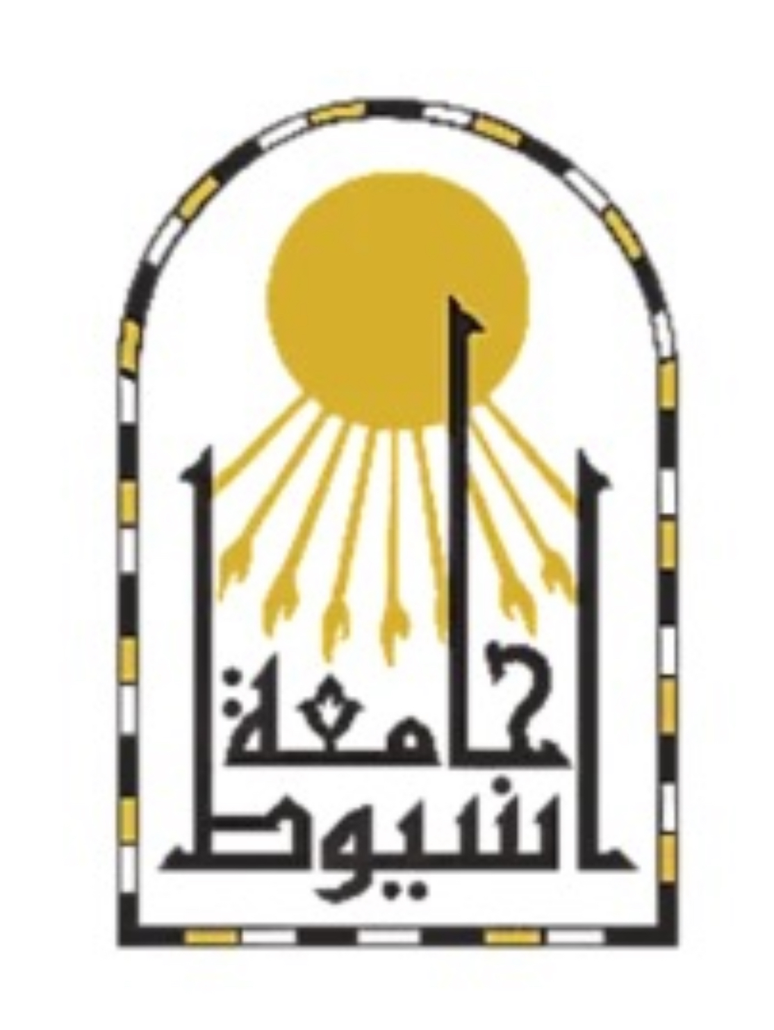 Assiut University